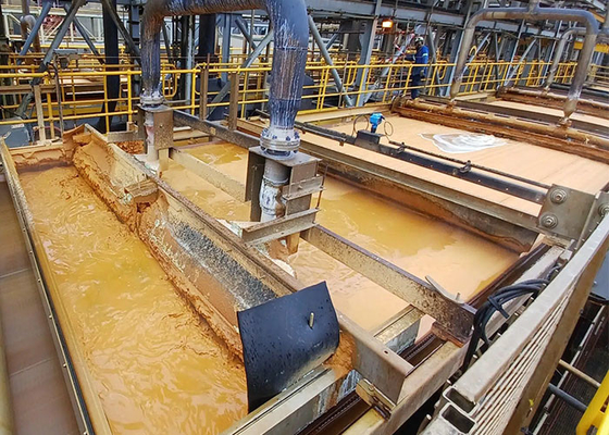 Kalite SBR Taşıyıcı Orta Vakum Kemer Filtresi 2400mm Genişliği Çamur Filtrasyon Süreci Fabrika